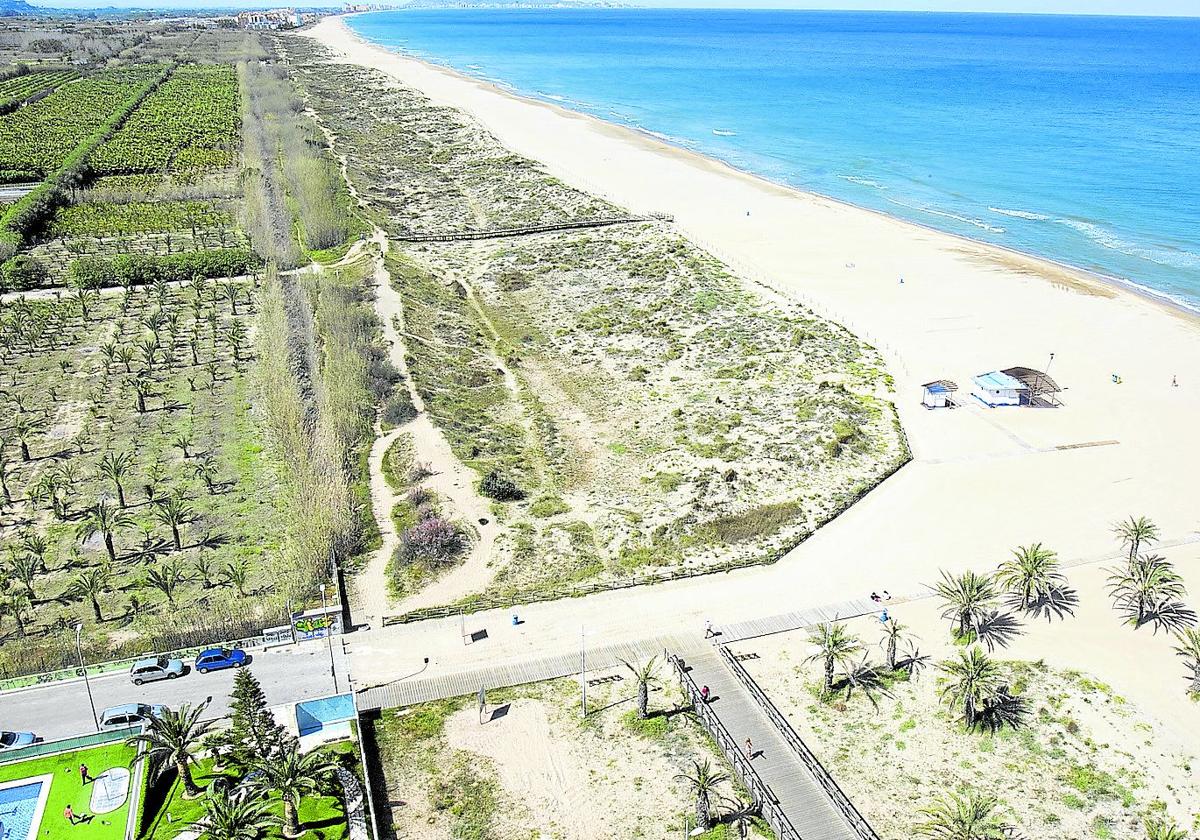 La playa virgen de l´Ahuir. entre los municipios de Gandia y Xeraco