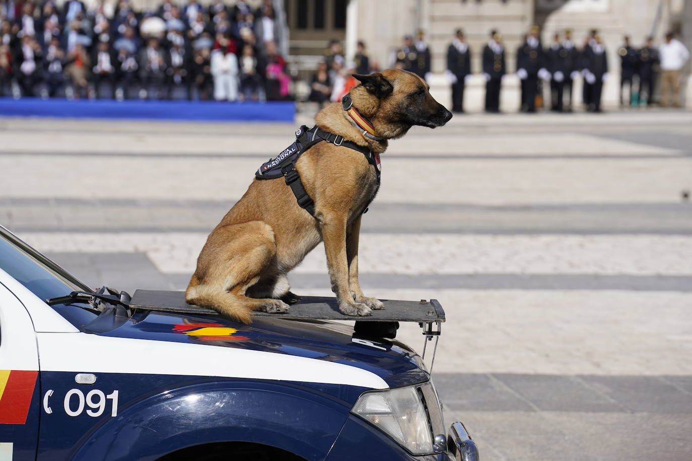 Los Reyes presiden el acto conmemorativo del Bicentenario de la Policía Nacional