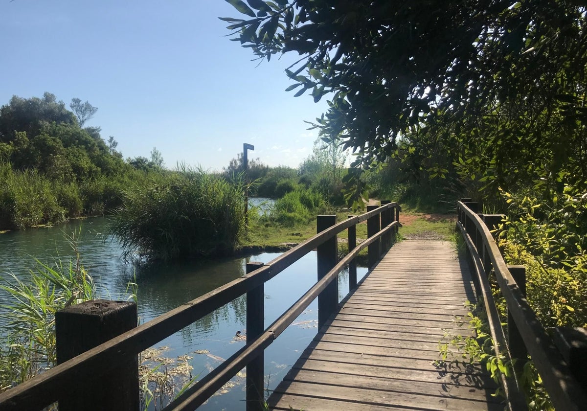 El puente y las pasarelas de madera nos permiten cruzar el río Salinar.