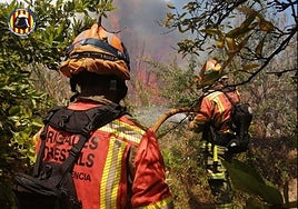 Dos bomberos forestales tratan de sofocar el fuego en Alzira.
