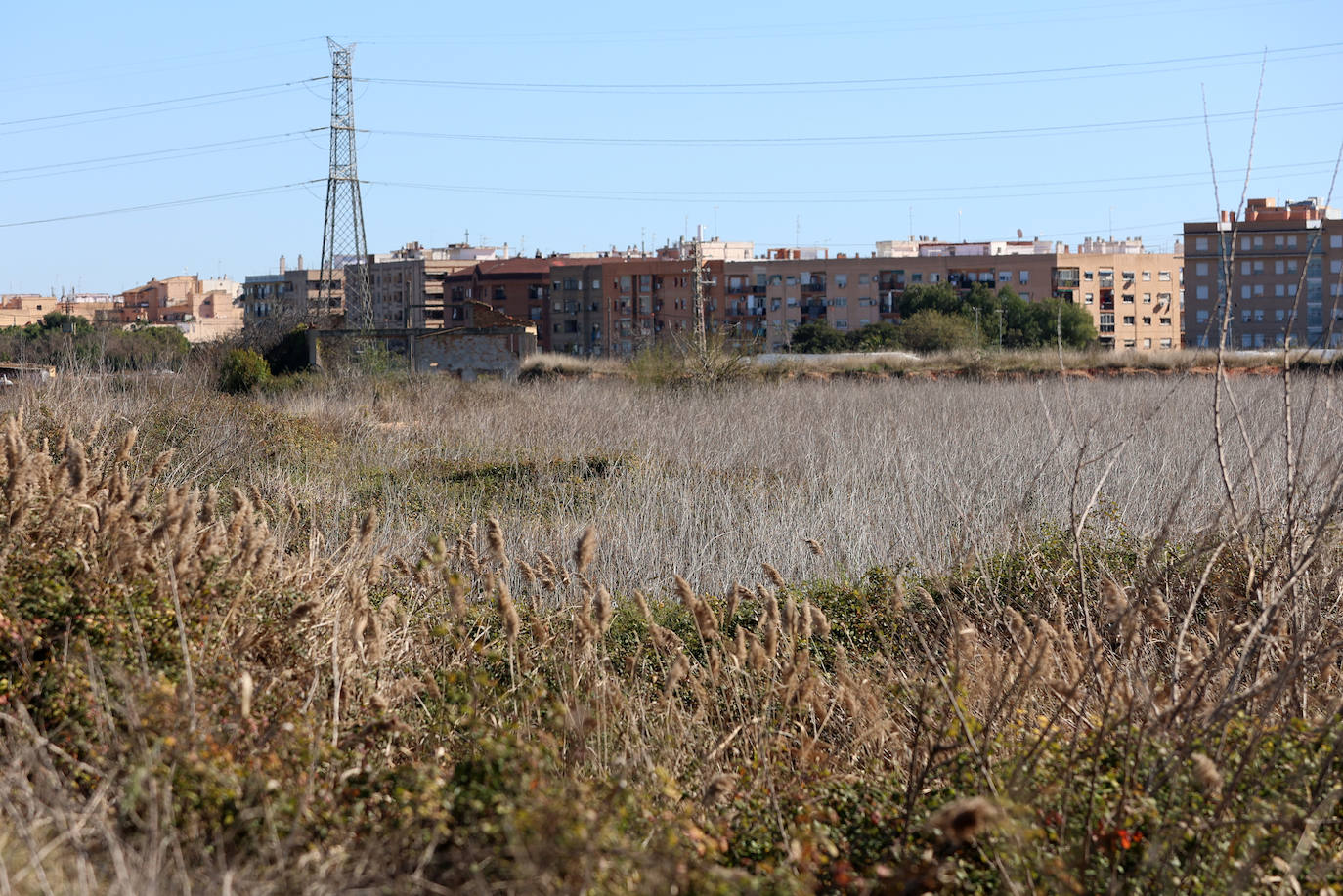 Campo abandonado.