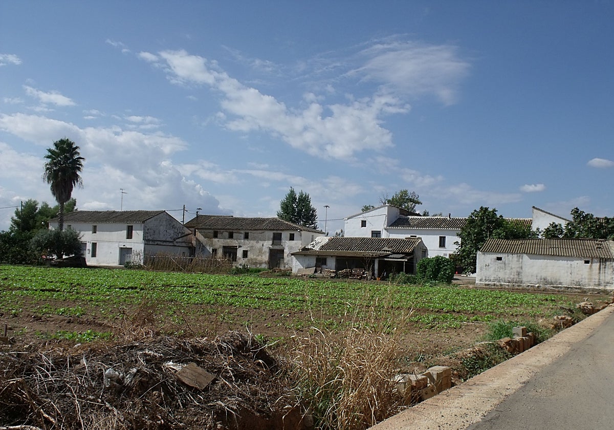 Entorno de la zona donde ha aparecido el cuerpo.