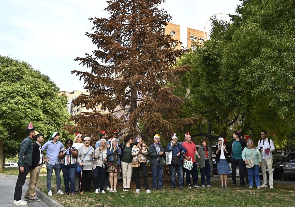 Imagen principal - Asistentes al acto festivo y reivuindicativo en San Marcelino, junto al abeto seco que decoró la plaza de la Reina en Navidades.