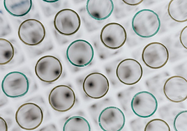 Columbus VP cierra su cuarto fondo de inversión de 150 millones de euros