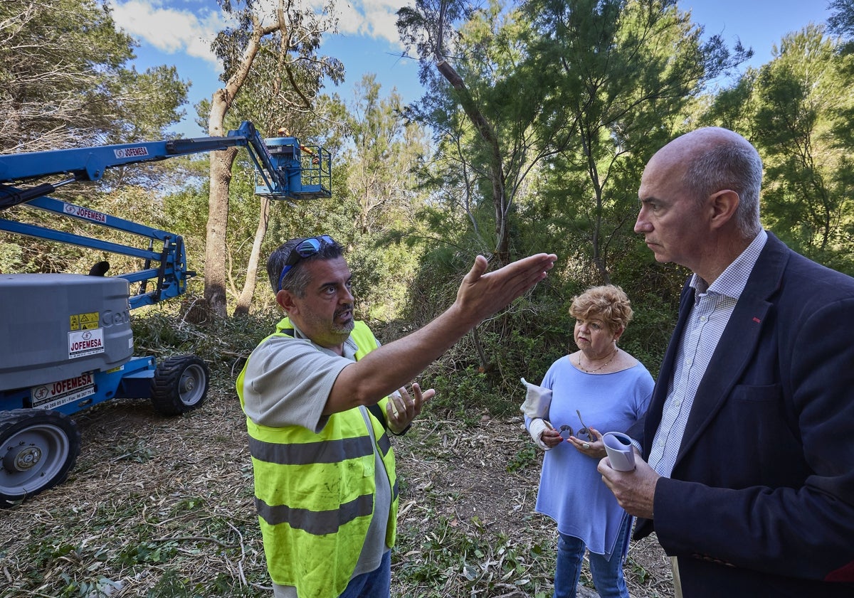 Imagen principal - Trabajos de poda junto a los edificios de Aparejadores de la Devesa de El Saler.