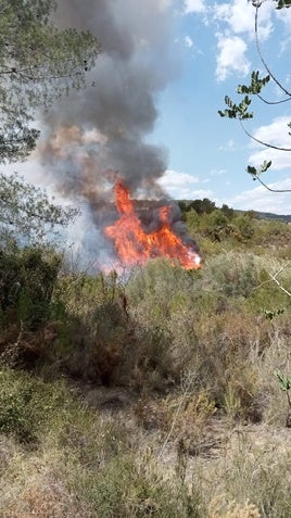 Bomberos en el incnedio de la Canyà de Montroi.