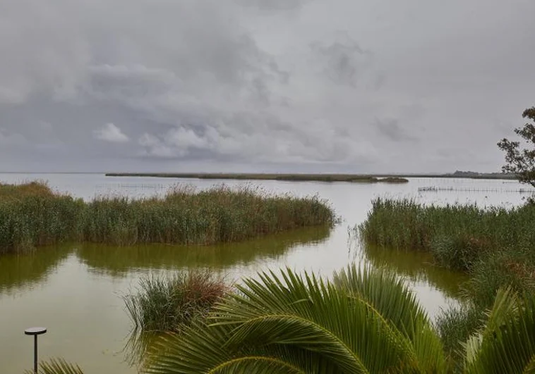 Catalá se une a la presión de Mazón para pedir más agua para la Albufera