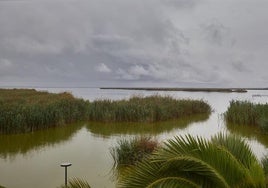 Estado actual de la Albufera.