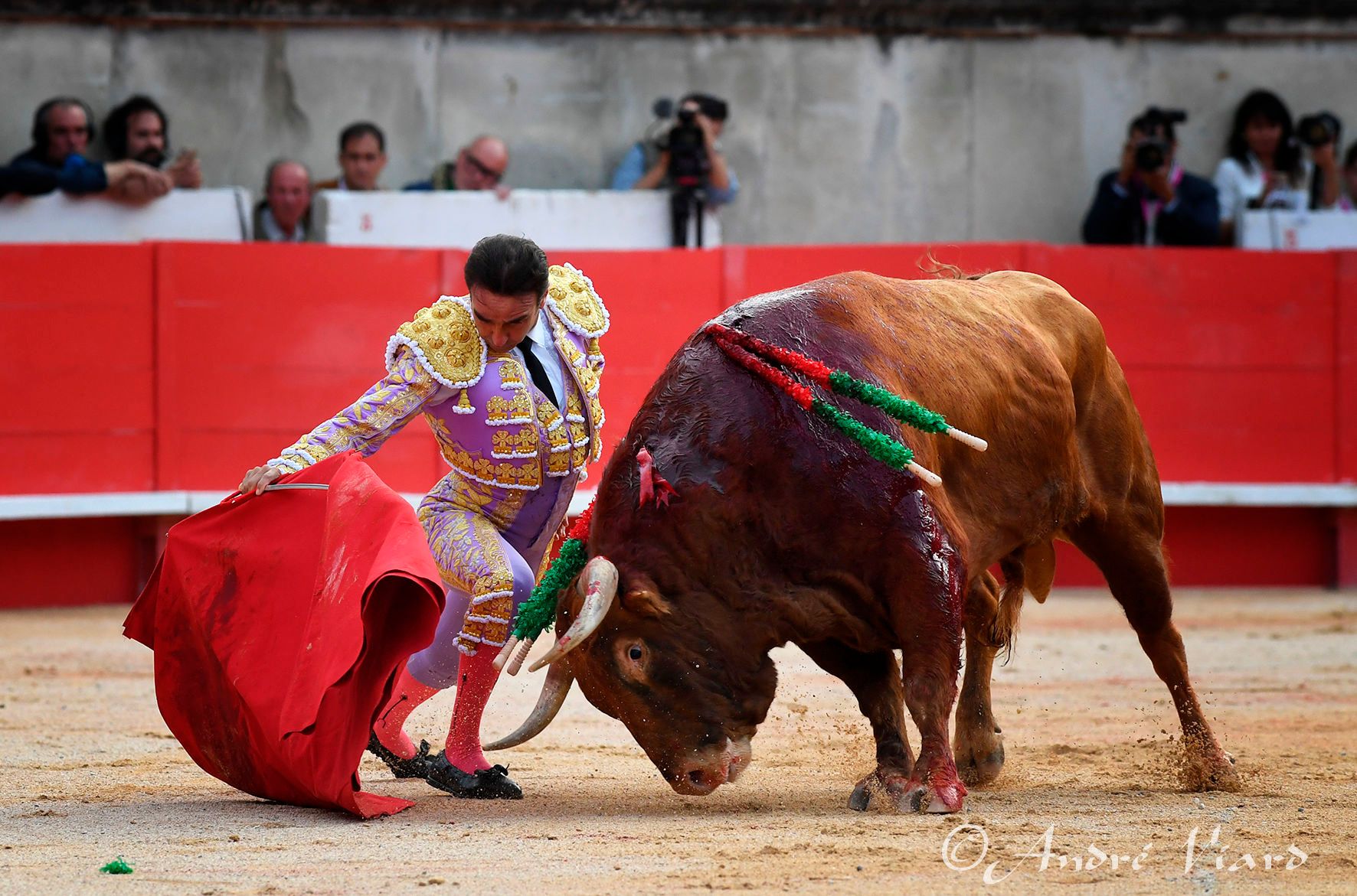 Enrique Ponce, en la Feria de Pentecostés 2024 de Nimes