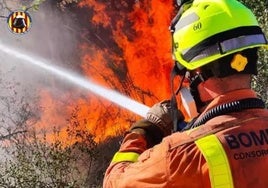 Un bombero trabaja en un incendio forestal, en una imagen de archivo.