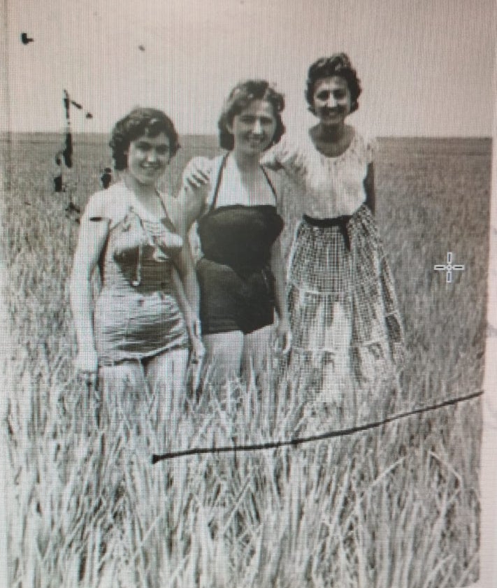 Imagen secundaria 2 - En la imagen superior, una cuadrilla de plantadores, garbero y trineo repartiendo las garbas; debajo de ella, una foto histórica: el primer tratamiento aéreo contra la pudenta. Entre las personas que aparecen en la fotografía se encuentran Pepe Hermano Asensi, Vicente y Antonio Ferri García y, a la derecha del todo, el secretario de la FAAE de Sevilla. Y sobre estas líneas, retrato de tres valencianas en bañador, entre arrozales: Vicenta Hermano Mateu, Rosarín Boix y Pepita 'Carallena'.