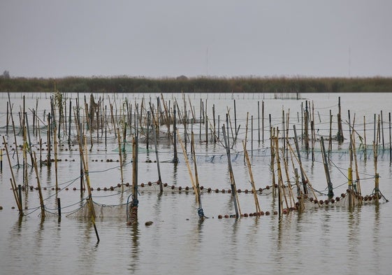 Imagen del lago de la Albufera.