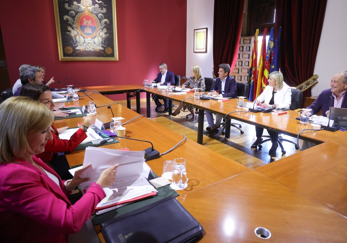 El Consell, reunido este lunes en Elche en sesión plenaria.