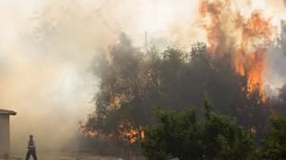 El Consell destinará 342.000 euros para mitigar los procesos erosivos del suelo en la zona del incendio de Montitxelvo