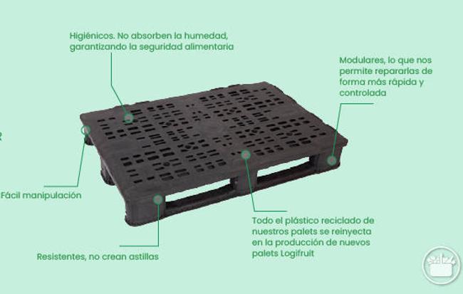 Características de los palets de Mercadona