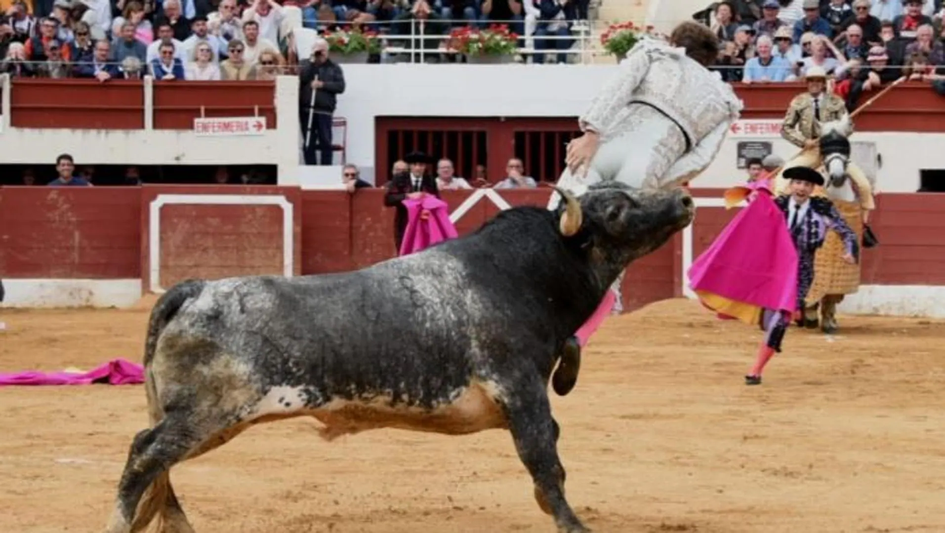 Toros: cogida del torero Román en Vic (Francia) | Las Provincias