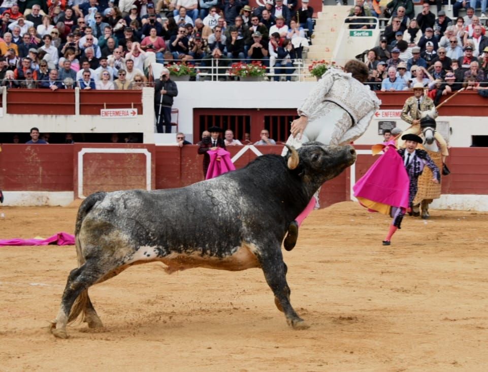 Grave cogida del torero Román en Vic