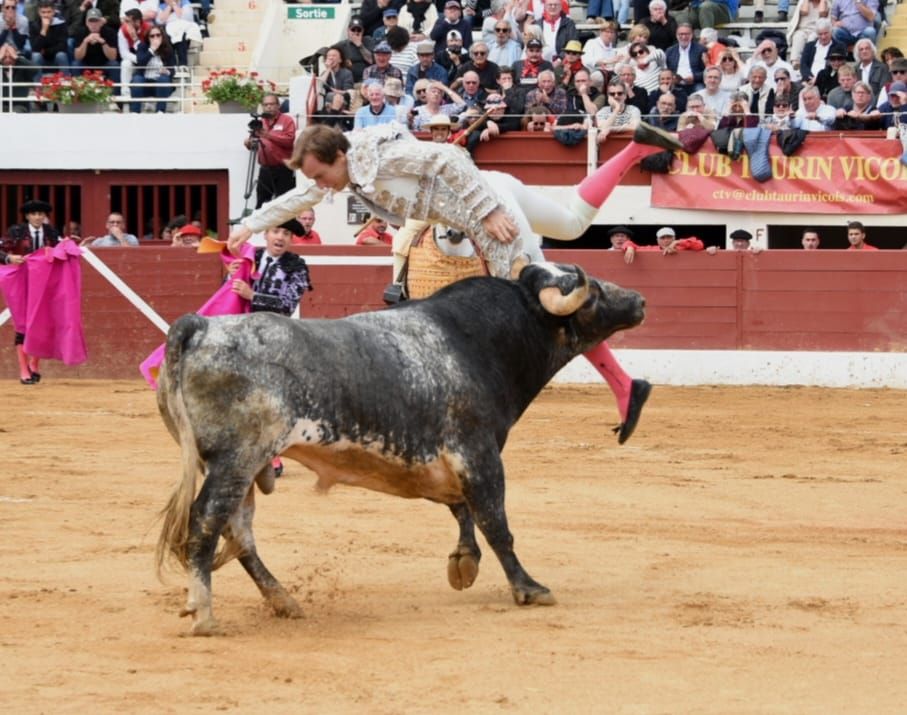 Grave cogida del torero Román en Vic