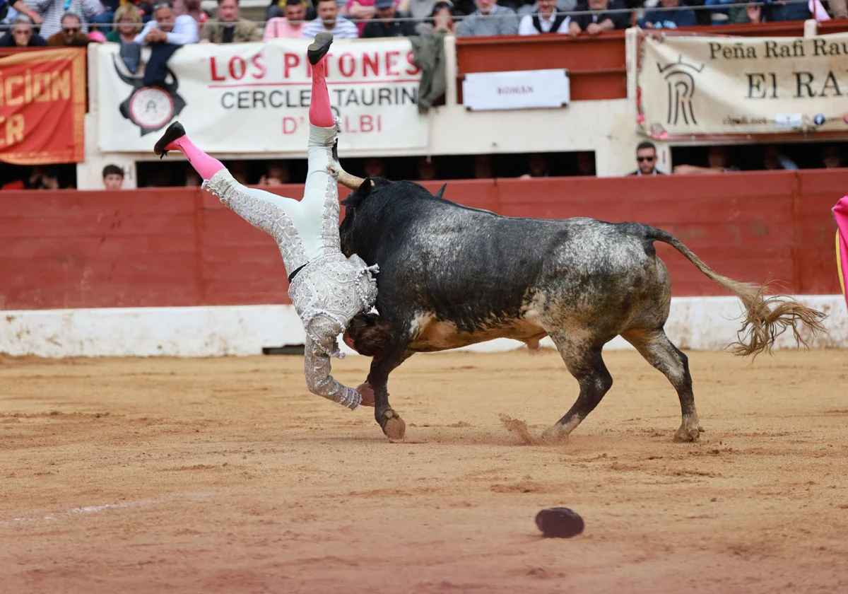 El torero valenciano Román mejora y deja la UCI tras la grave cogida en la  plaza de Vic-Fezensac | Las Provincias