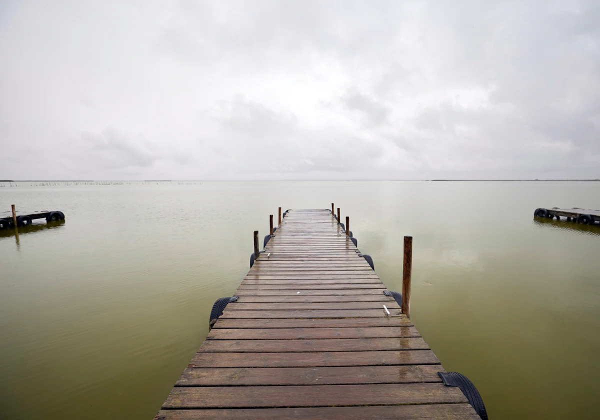 Politècnica, Universidad Católica y CEU se suman a la campaña en favor de la Albufera