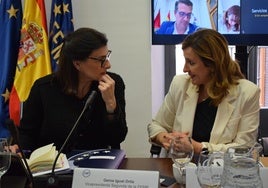 La alcaldesa de Valencia, María José Catalá, en la junta de portavoces de la FEMP.