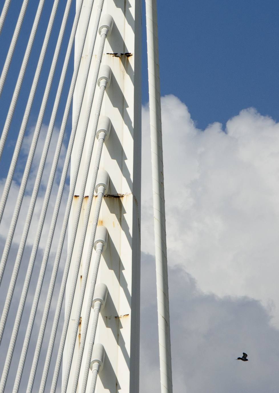 Así está el puente de l&#039;Assut de l&#039;Or de Valencia