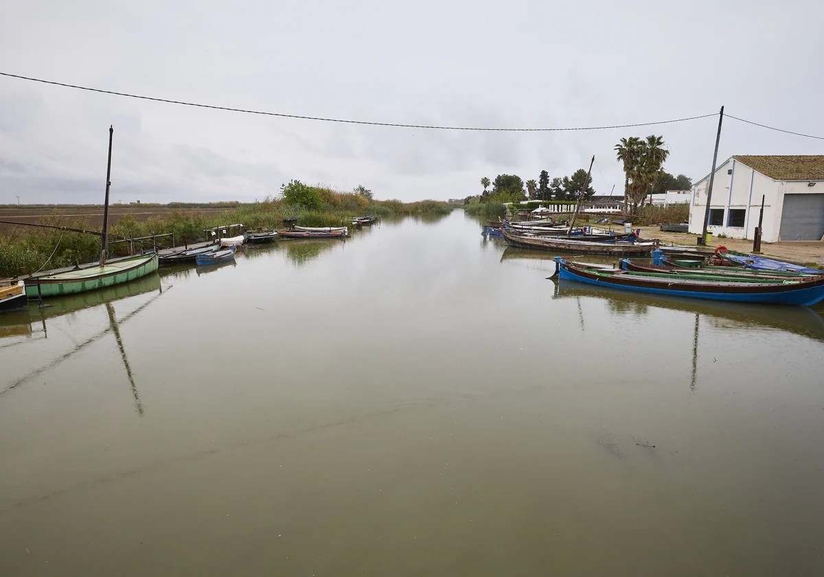 La CEV, Reale Seguros y Victoria Cano se suman al pacto por la Albufera