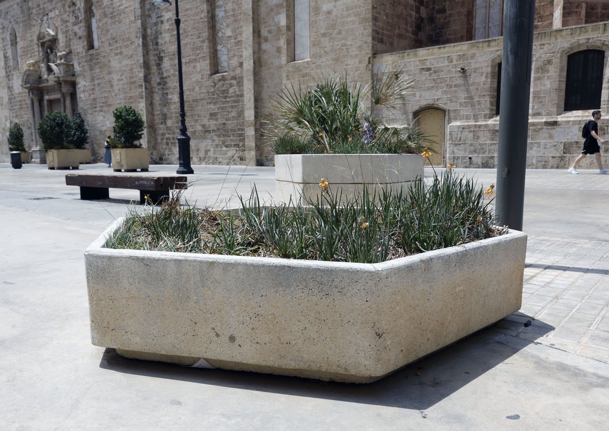 Imagen secundaria 1 - maceteros cuadrados, hexaagonales y rectangulares de la plaza de San Agustín de Valencia.