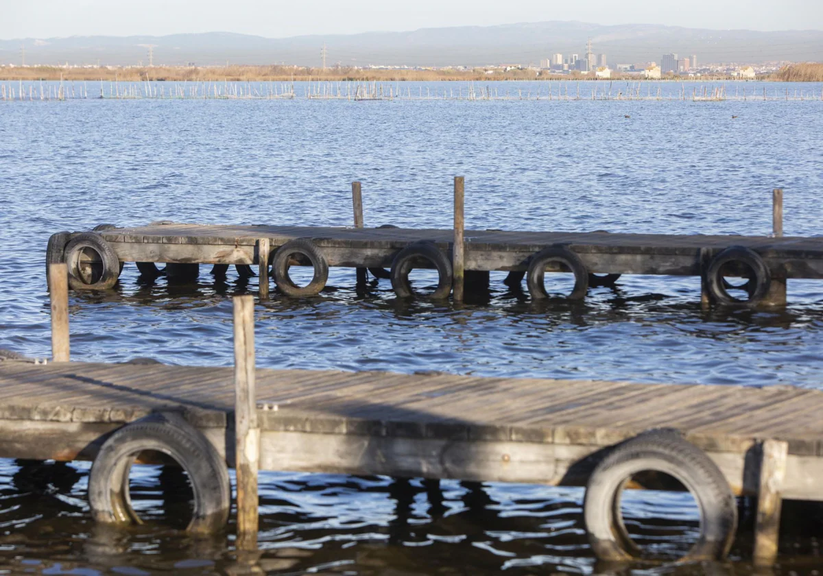 La Conselleria de Medio Ambiente elimina la plaza de director del parque de la Albufera ante la falta de candidatos