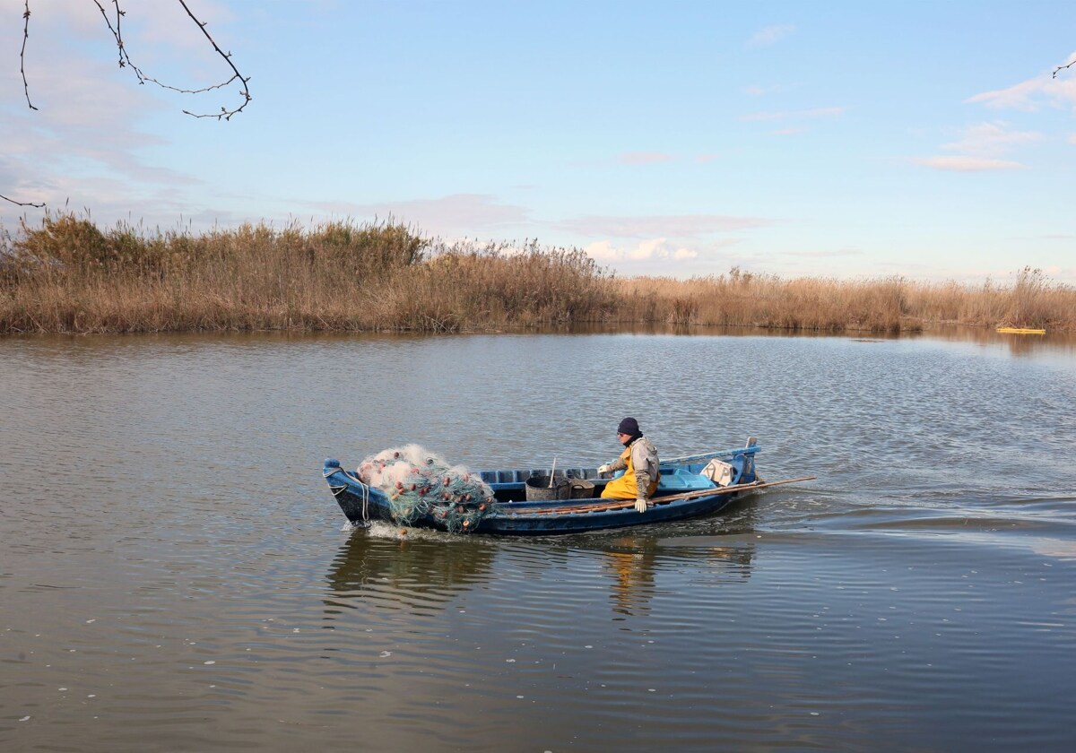 Las fundaciones Conexus y Goerlich y Lo Rat Penat se unen al pacto por la Albufera