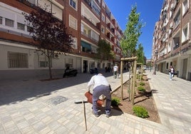 Plantación en las calles peatonalizadas de Orriols.