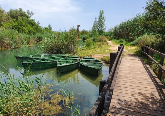 Las barcas en las que se realizan los itinerarios por el río Salinar.