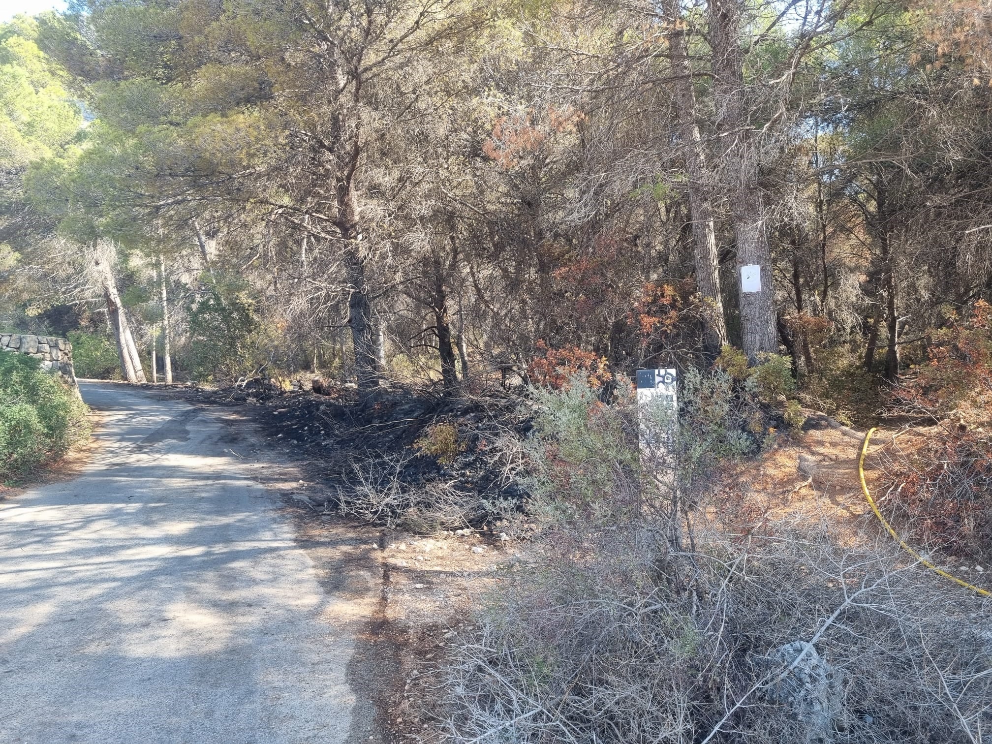 Zona del incendio en el Montgó.