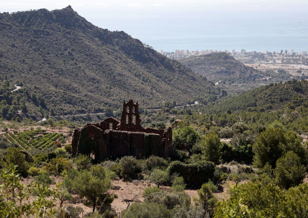 Imagen secundaria 1 - El Desert de les Palmes, el parque salpicado por la polémica de los burros