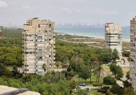 Las torres de apartamentos, junto a la playa y rodeados de la Dehesa, con el puerto de Valencia al fondo.