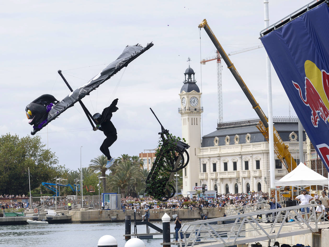 Valencia, capital mundial del Día de las Alas