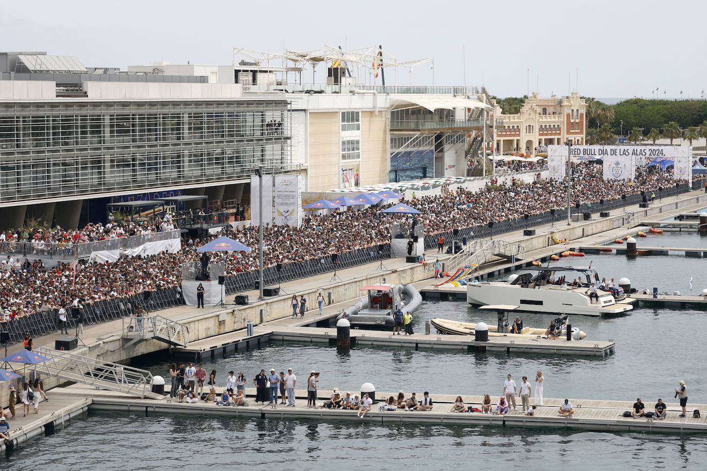Valencia, capital mundial del Día de las Alas