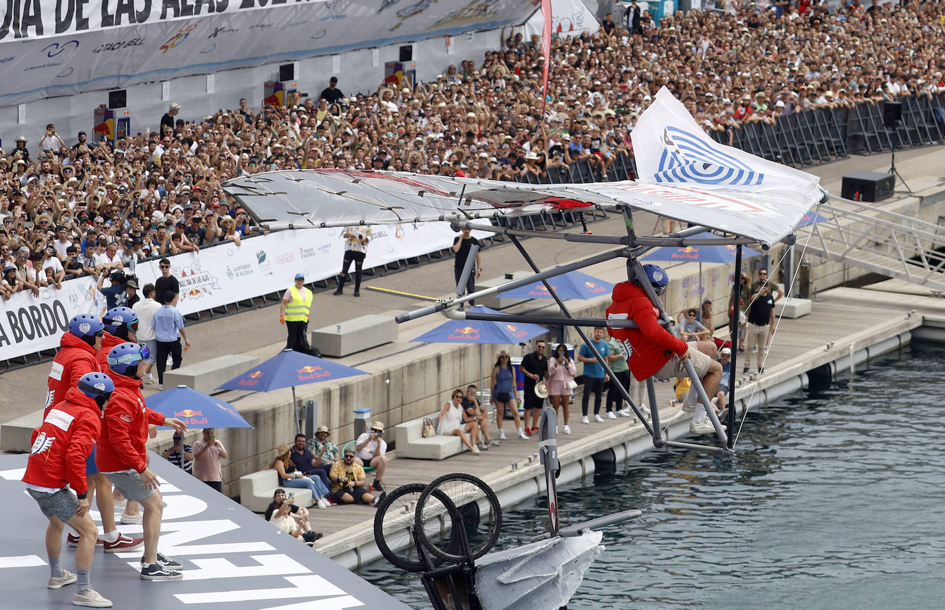 Valencia, capital mundial del Día de las Alas
