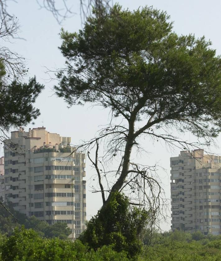 Imagen secundaria 2 - Quién vive en el Saler, el paraíso terrenal donde comenzó Los Inhumanos