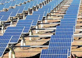 El retraso del Gobierno frustra una planta solar de más de 300 hectáreas en Valencia