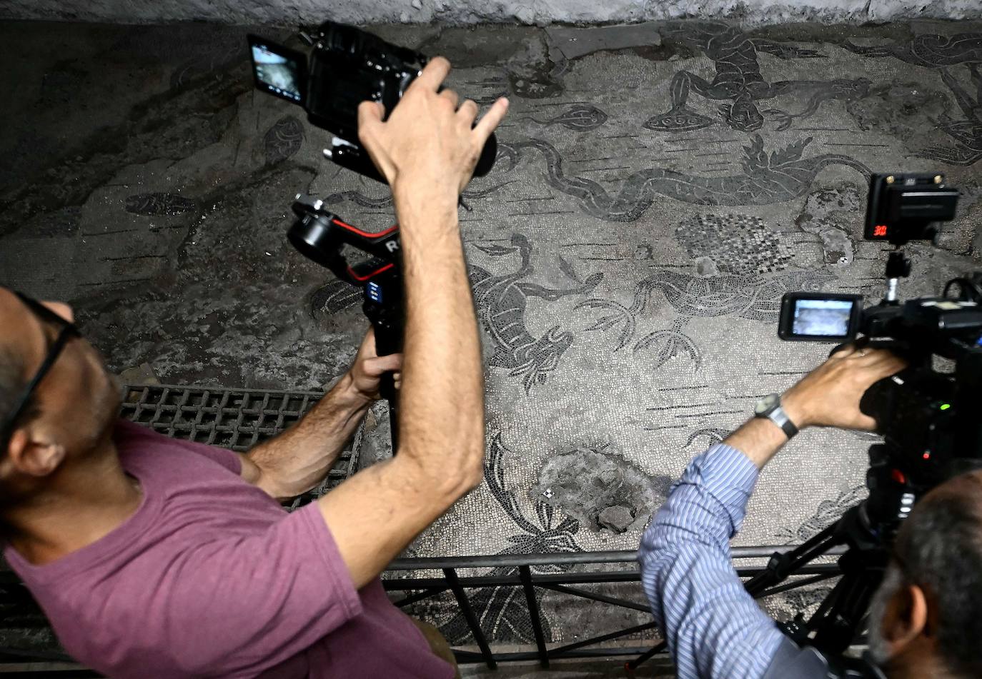 El Palacio Farnese descubre sus mosaicos subterráneos de la Antigua Roma