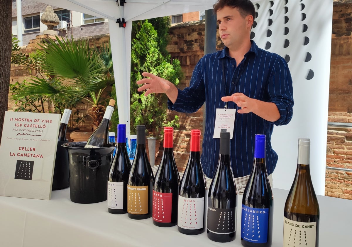 Los vinos de la IGP Castelló se ponen en valor en su Mostra Professional de Vins