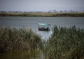 Una barca navega por el lago.