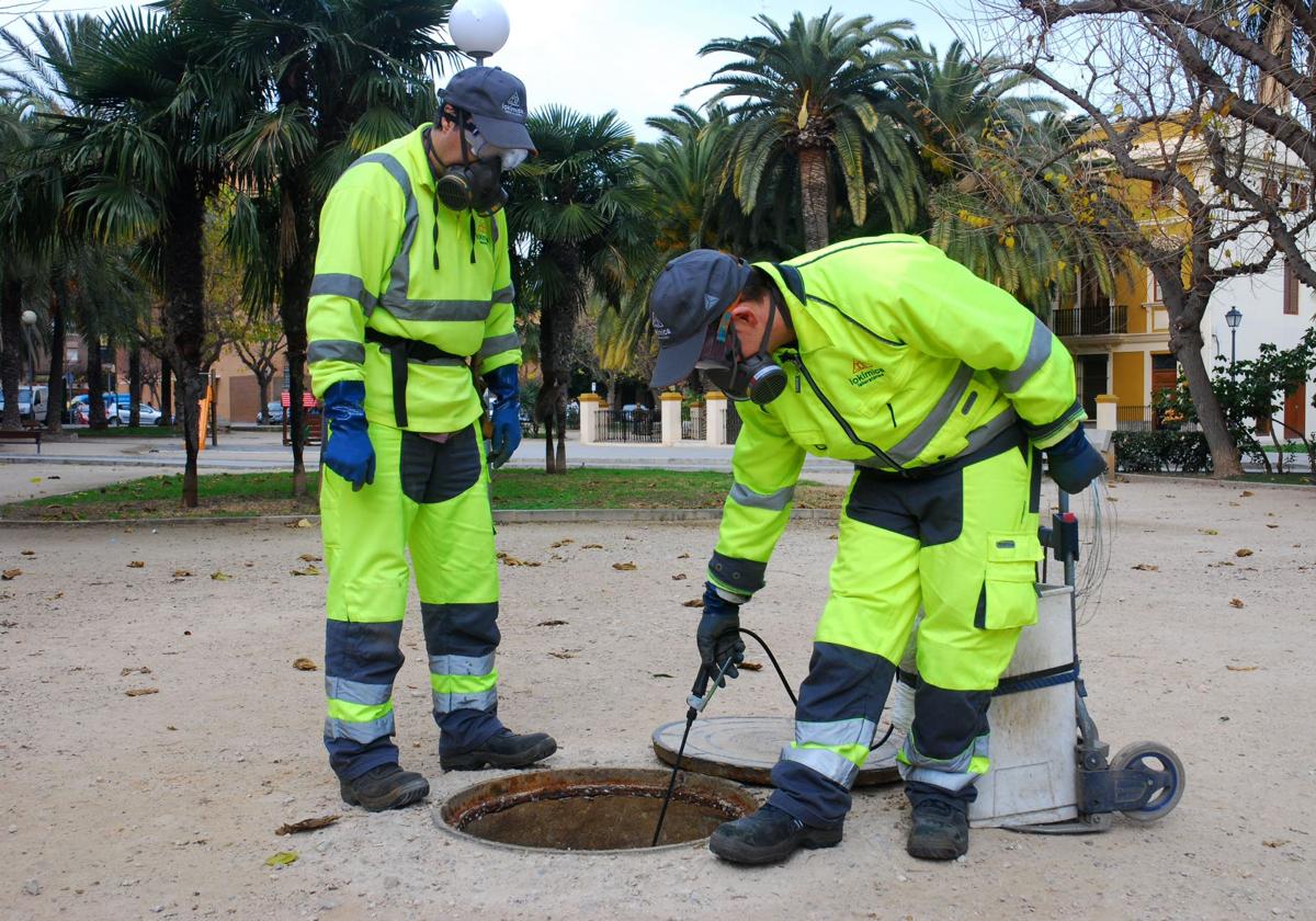 Tratamientos en Valencia.