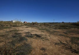 Terrenos de Safranar donde está planteada la ampliación de la cochera.