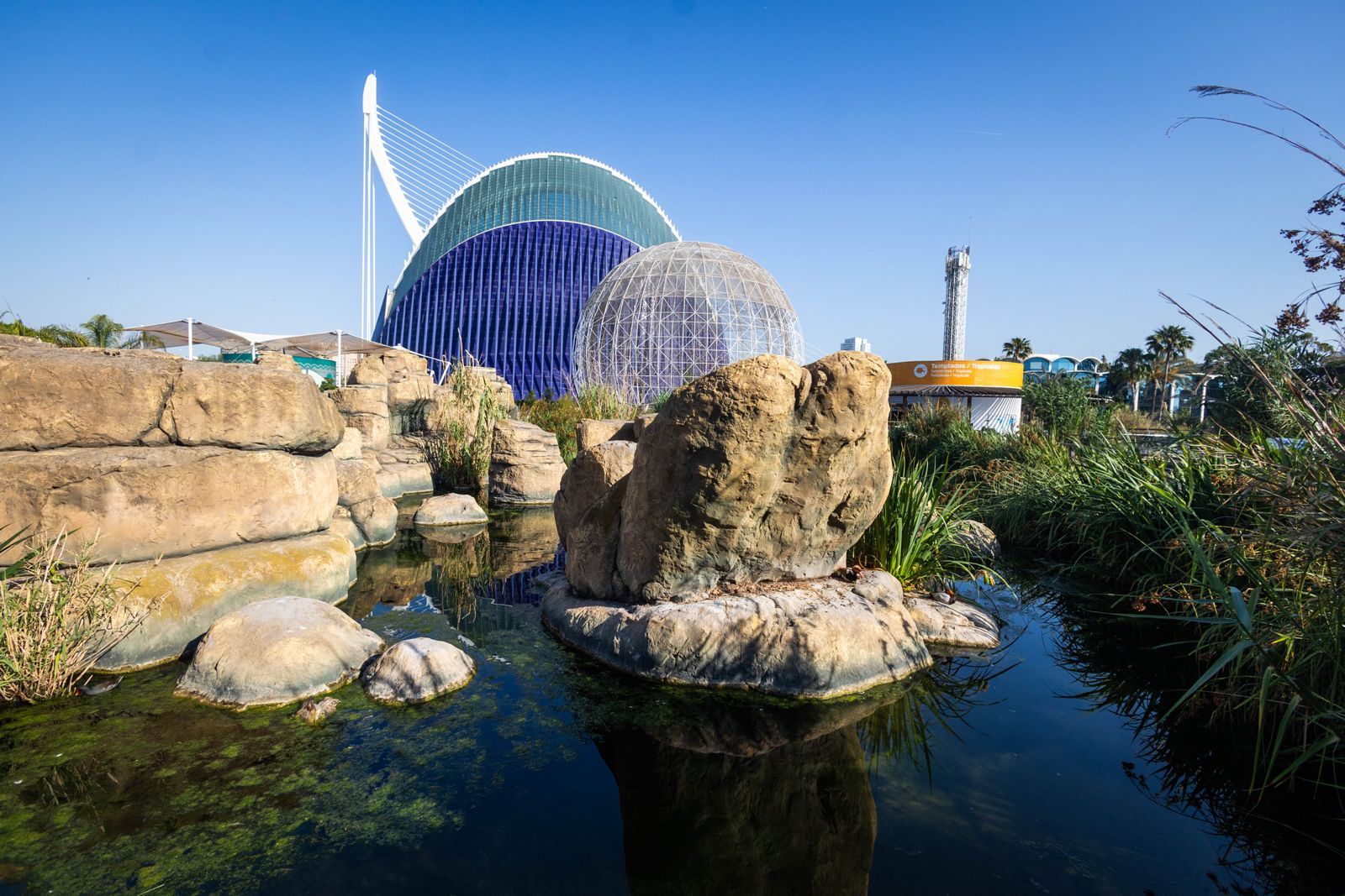 L&#039; Oceanogràfic, escenario del acto en favor del medio ambiente de LAS PROVINCIAS