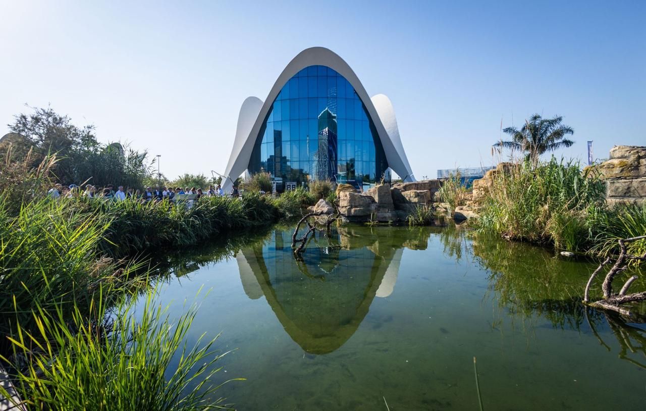 L&#039; Oceanogràfic, escenario del acto en favor del medio ambiente de LAS PROVINCIAS