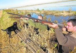 Cazadores en la Albufera