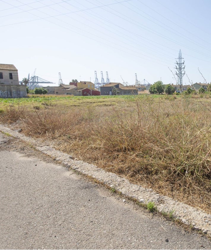 Imagen secundaria 2 - Entrada de Colero, con camino sin asfaltar y campos llenos de hierbas.