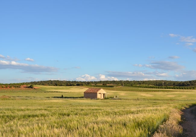 Sierras, bosques, viñas, cereal y secano, valores paisajísticos en Tierra Bobal